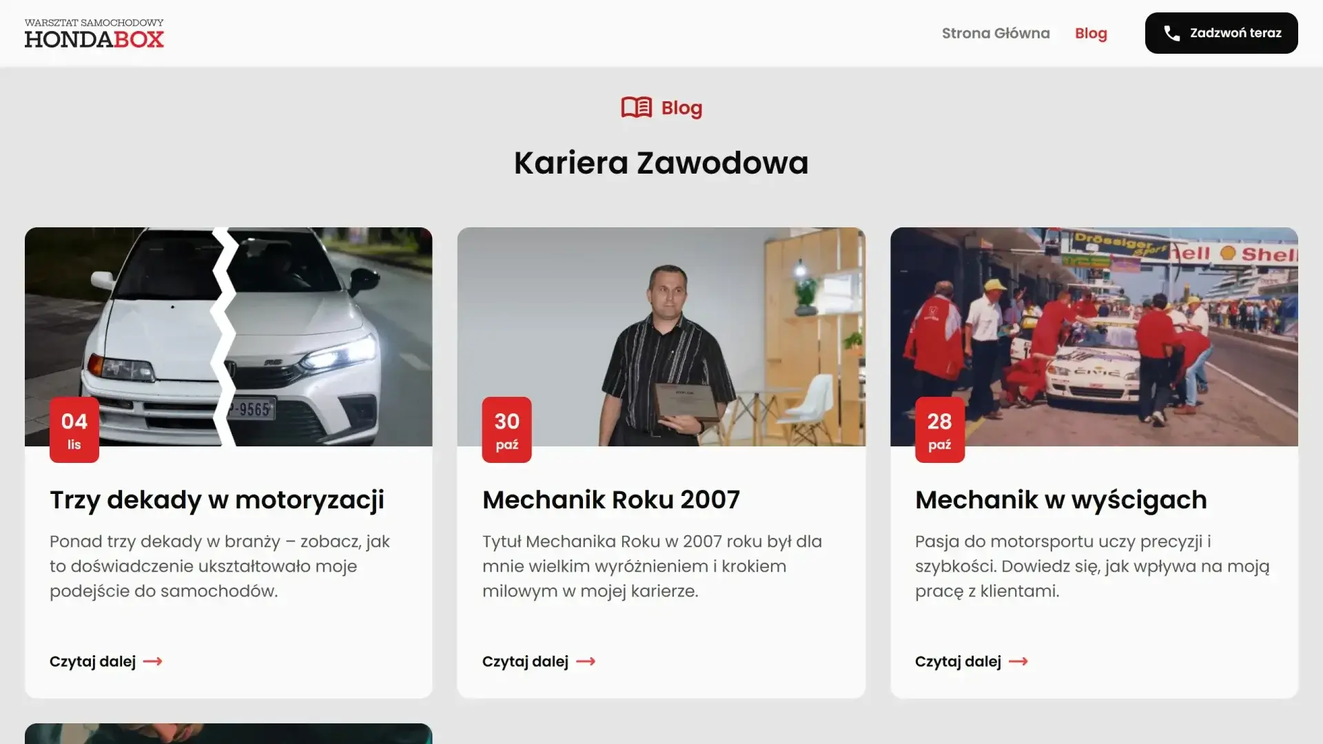 Efekt finalny strony - zrzut ekranu numer 3